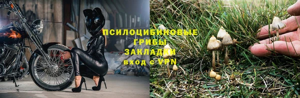 PSILOCYBIN Абаза