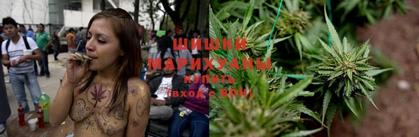 PSILOCYBIN Абаза