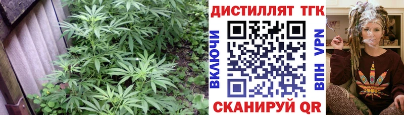 как найти закладки  Чердынь  блэк спрут ссылки  ТГК вейп с тгк 