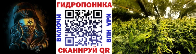 где можно купить наркотик  KRAKEN зеркало  Шишки марихуана гибрид  Чердынь 